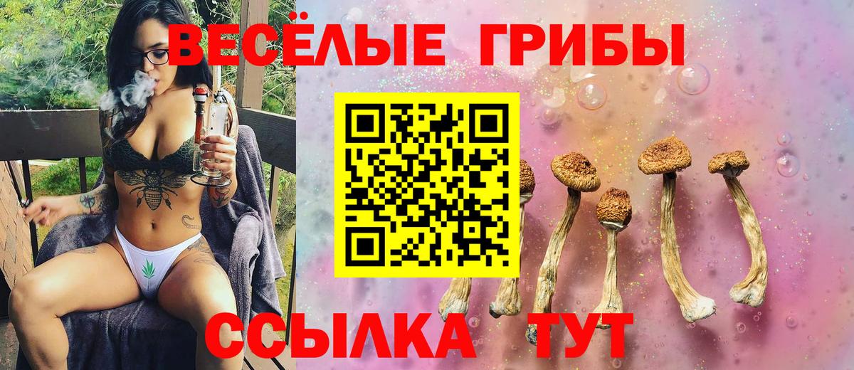 Псилоцибиновые грибы прущие грибы  Галлюциногенные грибы Psilocybe  Люберцы  даркнет сайт  Вход с VPN 
